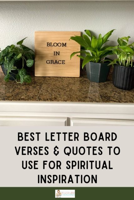 short quotes on grace on wooden letter board with plant display on counter