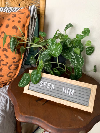 Seek Him uplifting inspirational quotes on gray letter board beside bed with potted green plant