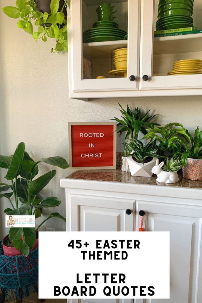 Christian Easter letter board quote - Rooted in Christ - on red letter board with live plants surrounding