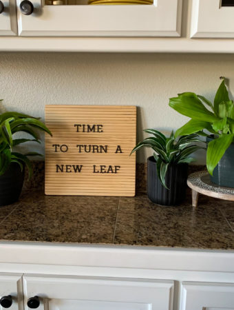 turn over a new leaf quote on spring letter board on counter with house plants