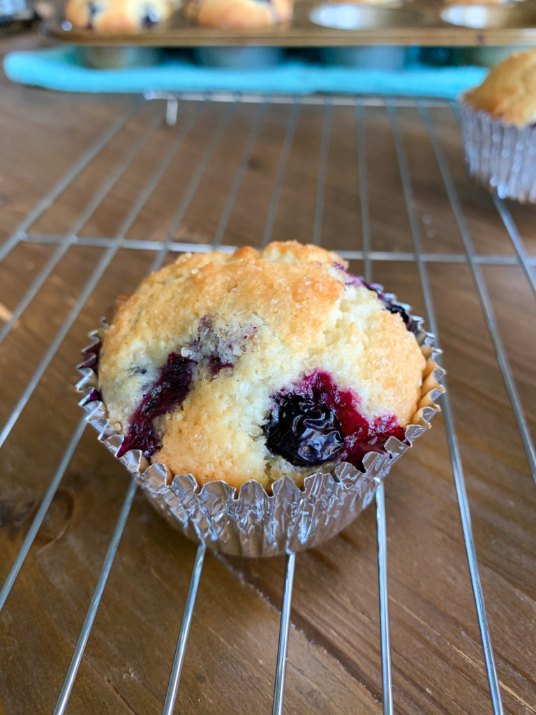one white chocolate chip blueberry muffin to die for on a silver metal rack
