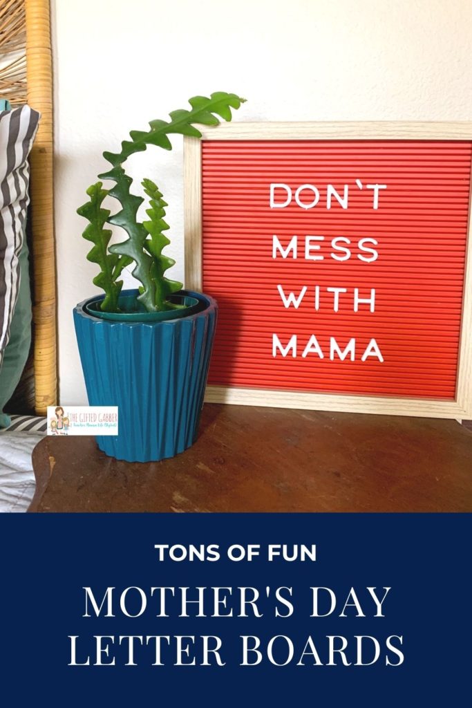 Don't mess with mama - busy mom quotes on red letter board with ric rac cactus next to