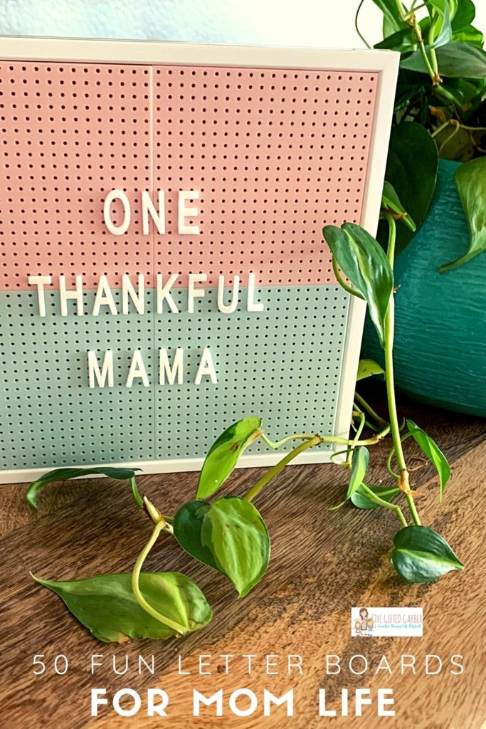 motivational mom quotes on pink and green peg board with philodendron plant in teal planter beside