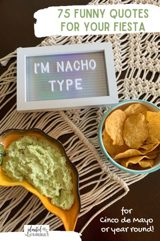 witty nachos quotes on small white letter board with bowl of chips and pepper-shaped dish of guacamole on macrame table runner