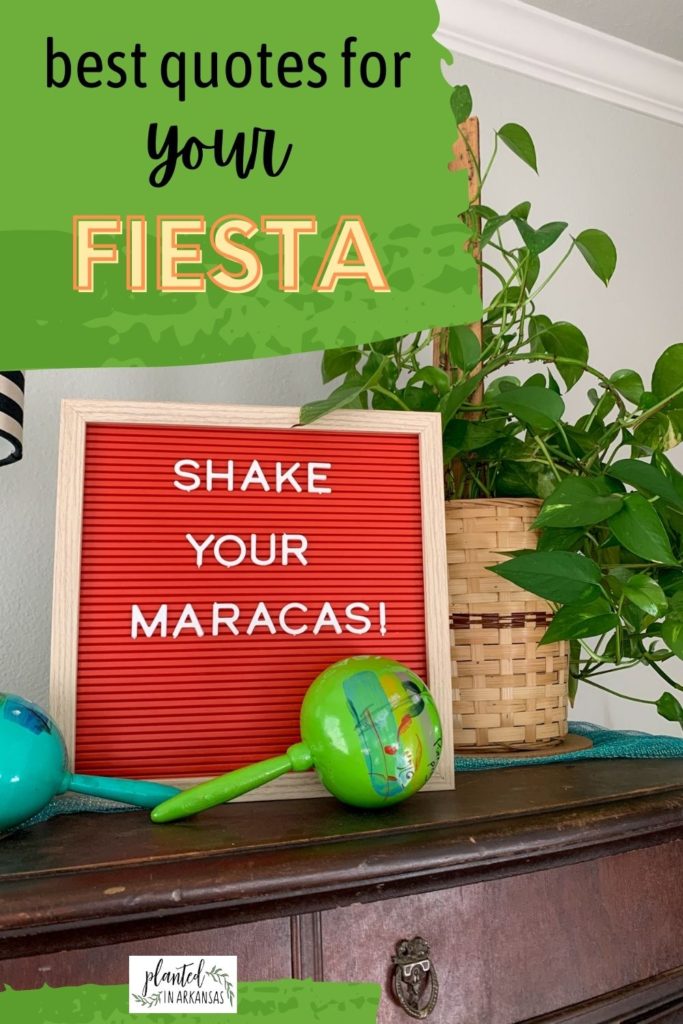 shake your maracas quote on red letter board for Cinco de Mayo quotes or quotes about fiesta
