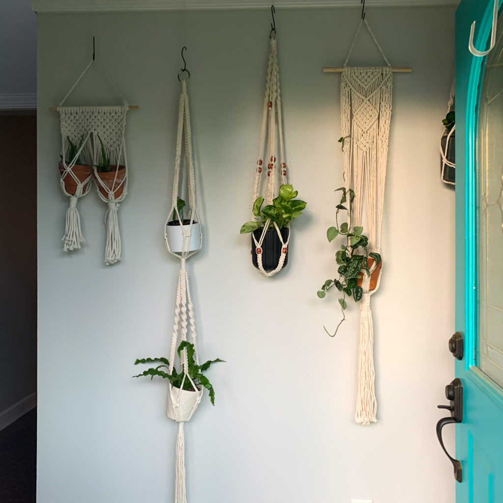 macrame hangers with plants hanging without nails indoors