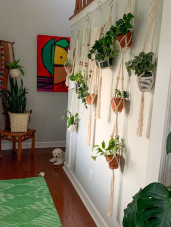 walls of plants in entry way with green rug and macrame hangers