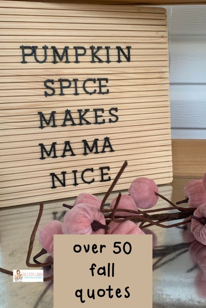 Pumpkin Spice Makes Mama Nice fall letter board quotes about pumpkins. With long stems of pink velvet pumpkins in front and a text overlay.