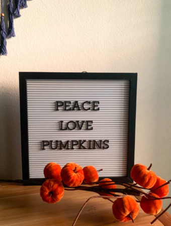 white letter board with fall letter board quotes and velvet pumpkins in front