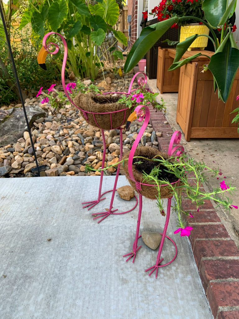 hot pink outdoor flamingo planters on concrete slab back porch with trailing plants with pink blooms
