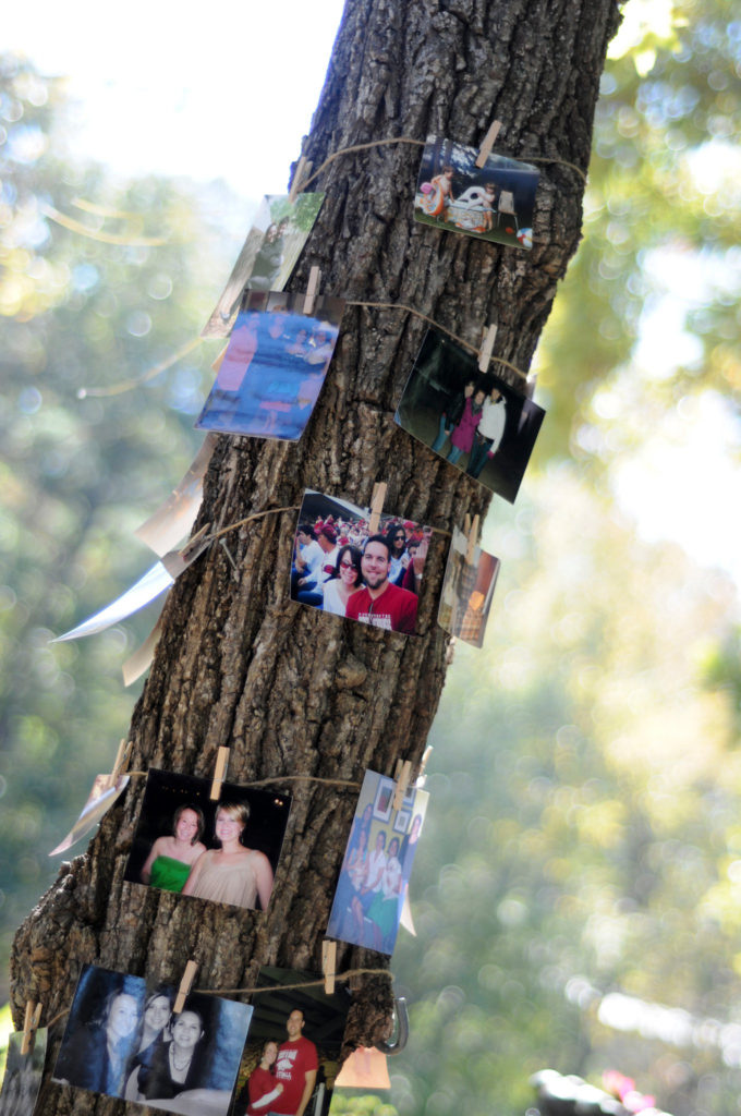 a tree with a string of photos on display at wedding at Little Rock Arkansas wedding venues