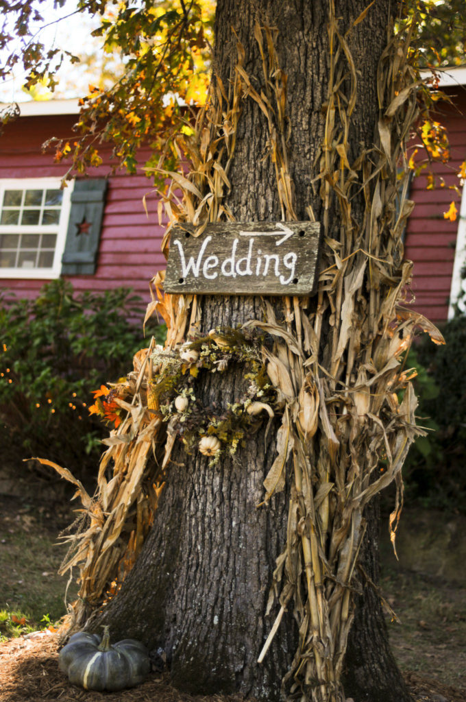 a tree with dried corn stalks for fall wedding at Little Rock Arkansas wedding venues 