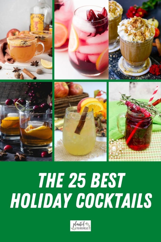 collage image of Christmas gin cocktails, cranberry gin cocktails and apple cider cocktails and other gin winter cocktails