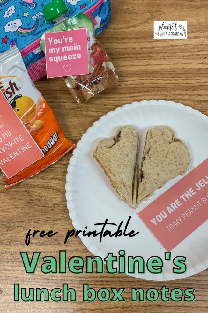 Valentine lunch box notes attached to lunch box foods on wooden table 