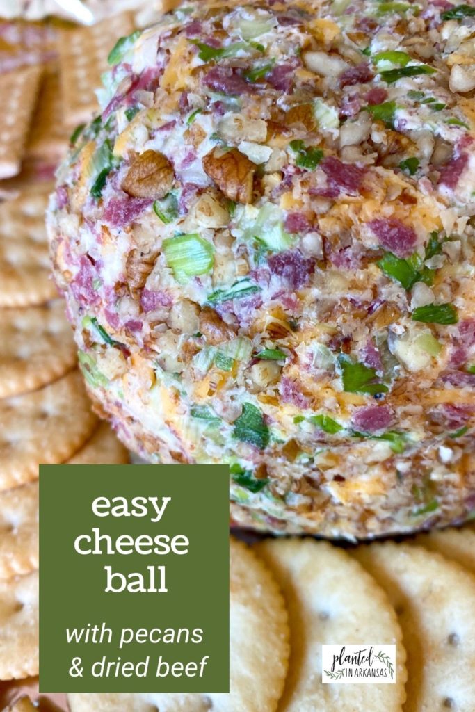 cheese ball with dried beef and green onions surrounded by crackers and a green text overlay
