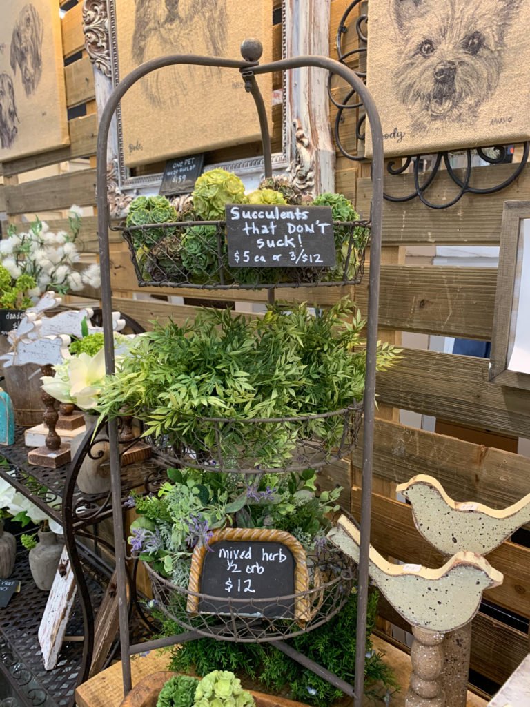 a tiered tray of succulents at Vintage Market Days Little Rock