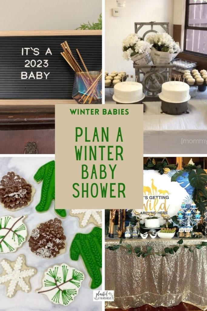 baby shower themes for winter collage image with text 