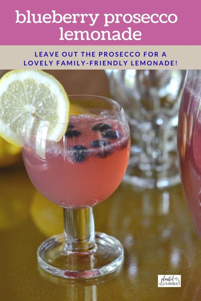 Make Easy Simply Blueberry Lemonade Punch with Prosecco