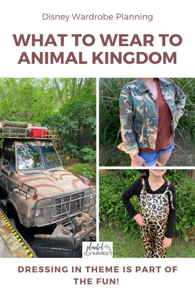 collage of animal kingdom outfit ideas with text overlay