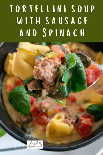 Sausage Spinach Tortellini Soup with Cream Cheese - The Gifted Gabber