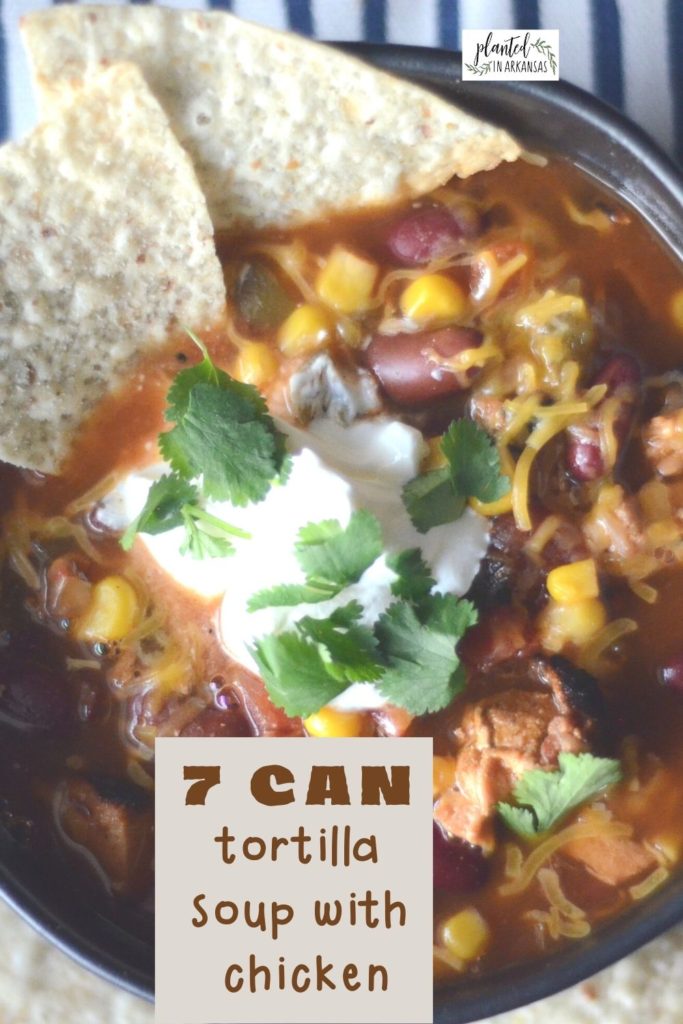 7 can chicken tortilla soup in black bowl with tortilla chips 