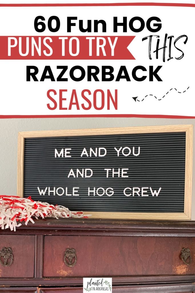 Arkansas Razorbacks Quotes on black letter board with red and white pom pom and text overlay