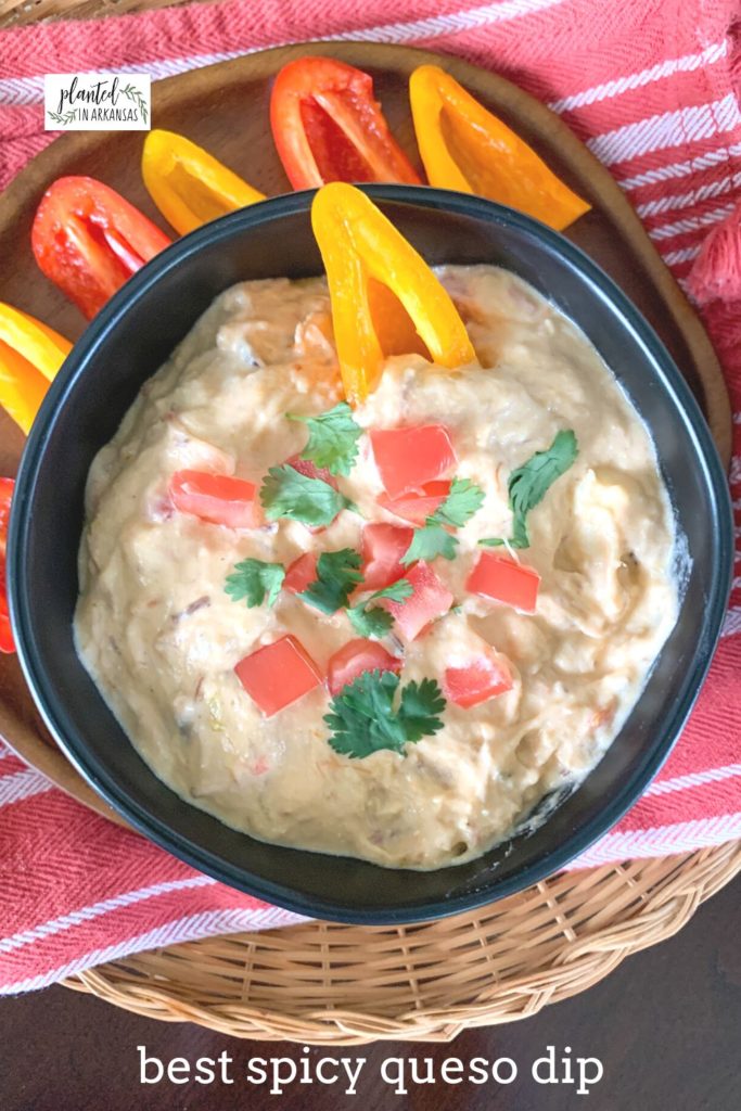 spicy queso dip in black bowl with red and yellow bell pepper dippers