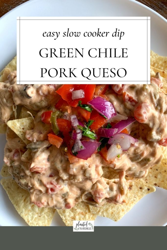 green chile pork queso with pulled pork on white plate with a white text box overlay