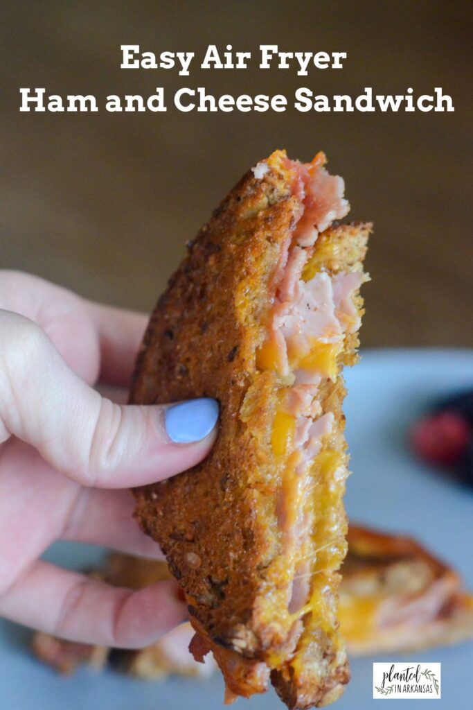 grilled air fryer ham and cheese sandwich in lady's hand over grey plate - with text overlay