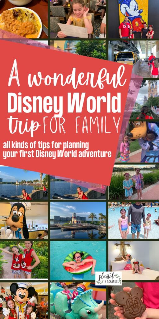 collage image of a 7 day Disney World itinerary with a text overlay