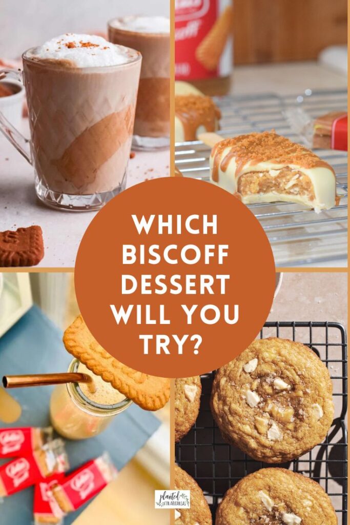 Biscoff treats in four image collage with text overlay