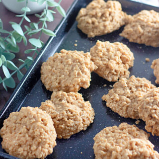 peanut butter no bake cookies on metal baking tray with a plant in back