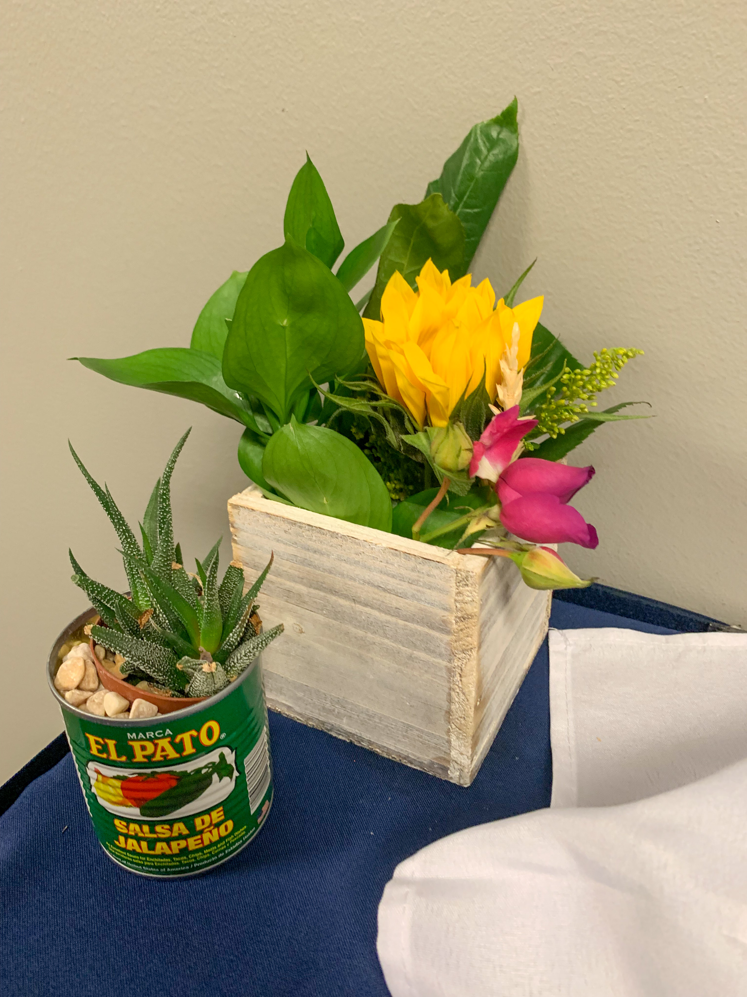 succulent fiesta party decoration ideas with succulent in can and box of flowers