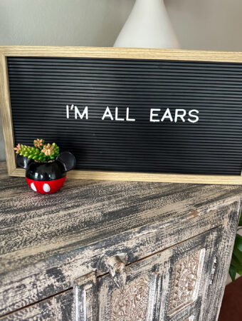 short Disney quotes (Minnie Mouse quotes) on black letter board with Mickey planter