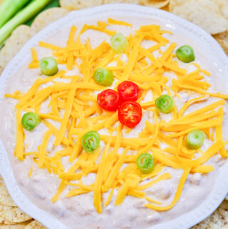 TikTok boat dip - sour cream taco seasoning dip - in a white serving plate with green onions to the side