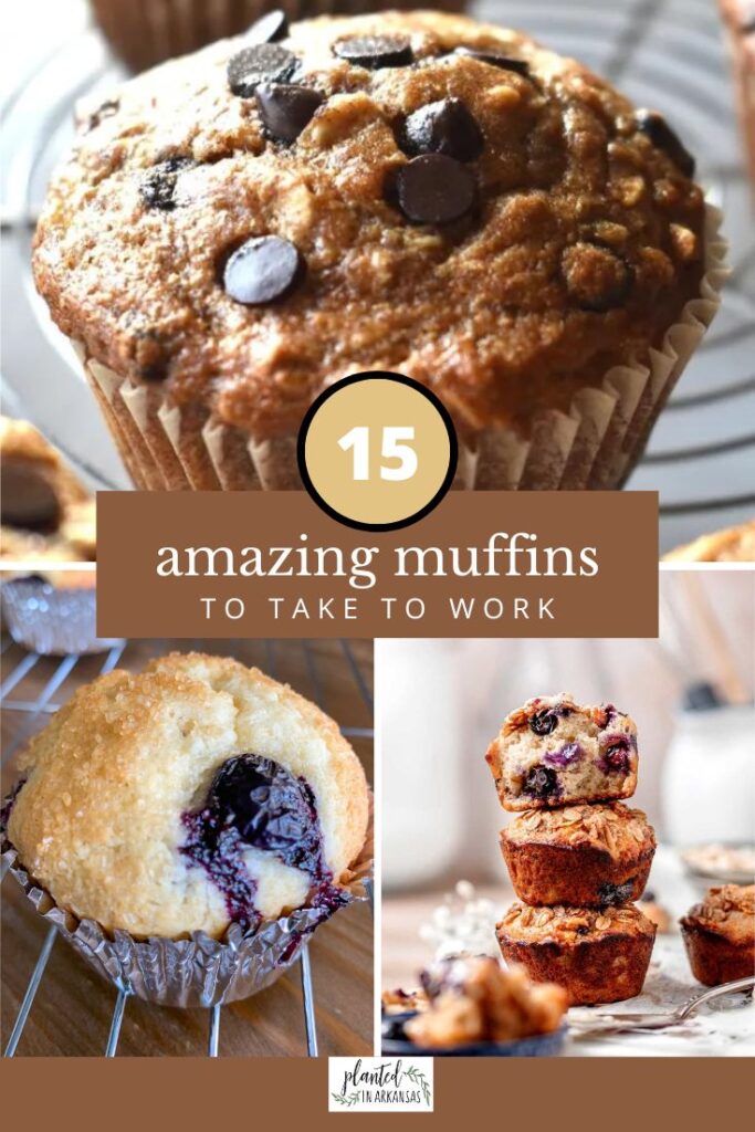 muffin breakfast treats for work in a collage