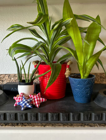 Fourth of July home decor plant vignette with stars
