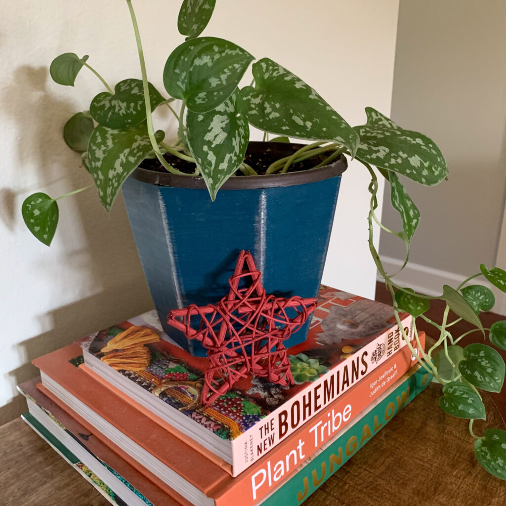 silver leaf philodendron in blue pot with red star on stack of books