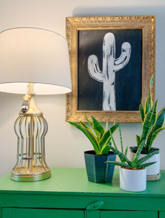 indoor plant styling tips for a group of snake plants on a green cabinet with a cactus artwork