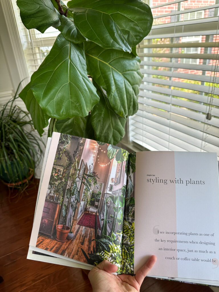 woman shows one of the best plant styling books in hand with fiddle leaf fig in back