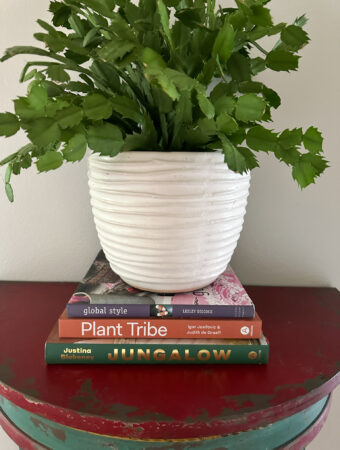 best plant style books stacked on a red table with a white pot and Christmas cactus on top