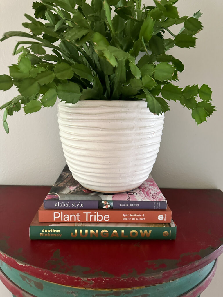 best plant styling books underneath a Christmas cactus in a textured white pot