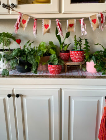 Valentine's Day plants on kitchen hutch with Valentine's bunting above