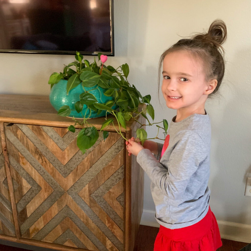 little girl admires philodendron Valentine plant with heart pick