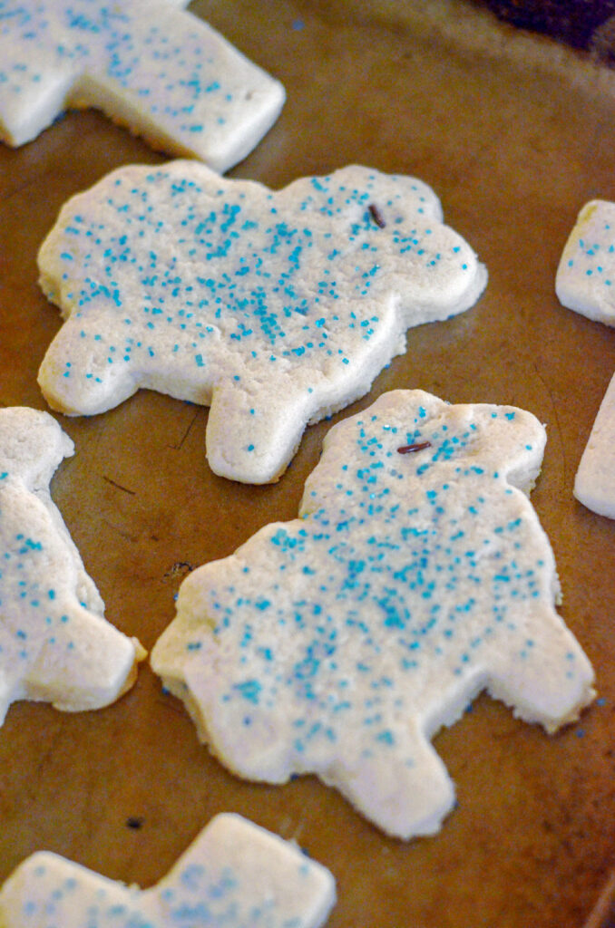 Easter lamb cookies spread out on cookie sheet