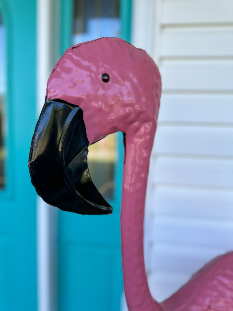 tall pink flamingo standing beside front door of home