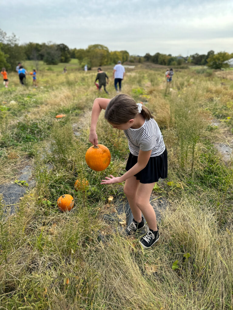 girls picks pumpkin out of ground at Appel Farms in Springdale, Arkansas