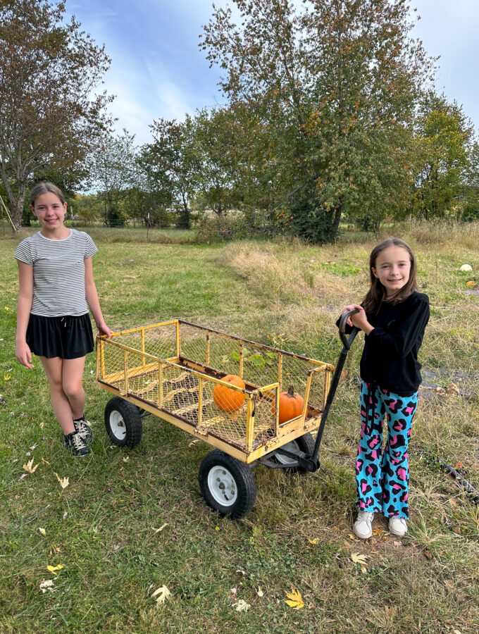 girls with pumpkin cart at pumpkin patch in Springdale