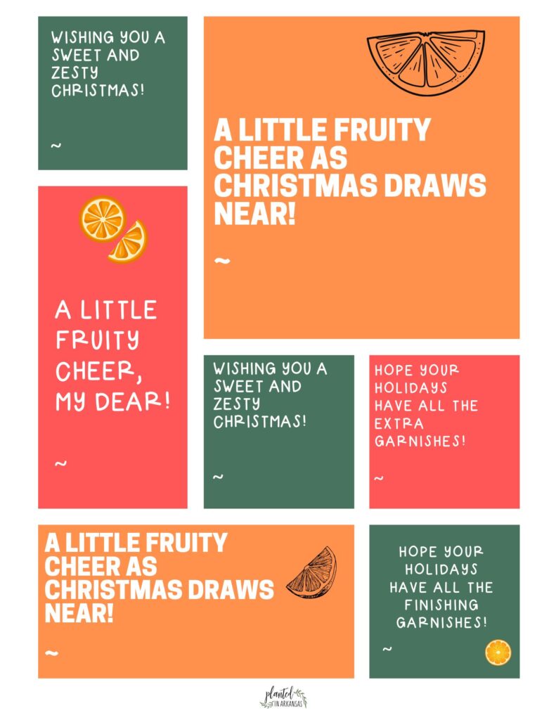 image of free printable gift tags for dehydrated fruit gift idea for cocktails and tea