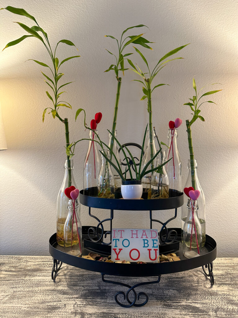 plant display with bamboo plants and heart picks for Valentine's plant idea